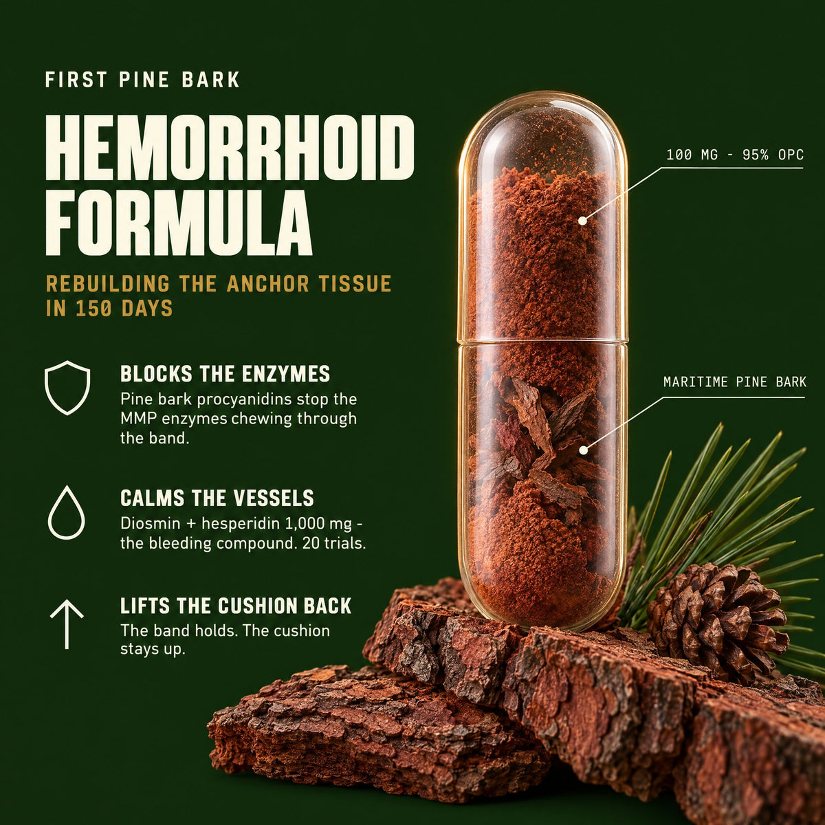First pine bark hemorrhoid formula — rebuilding the anchor tissue in 150 days